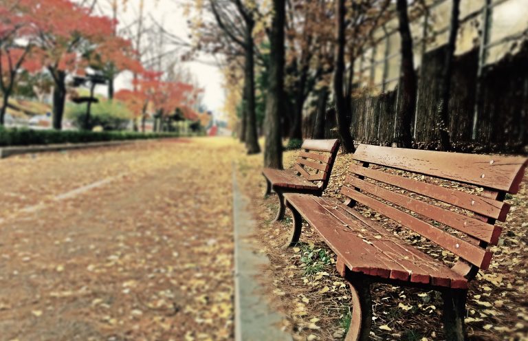 bench on campus