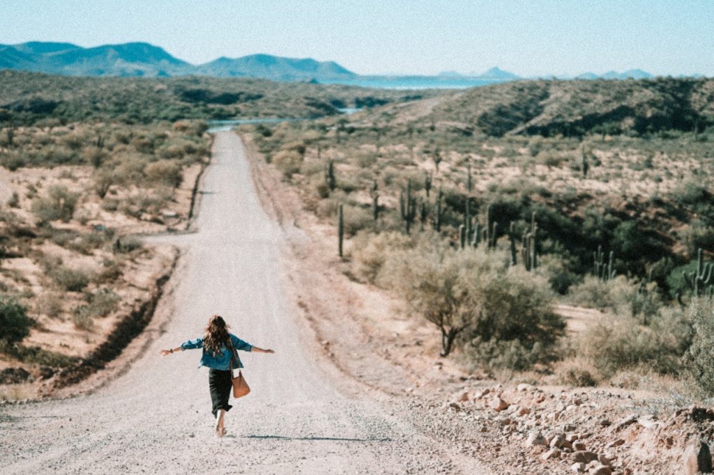 Botanical Studies in Arizona