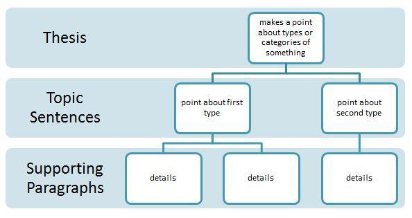 Classification and Division Essay