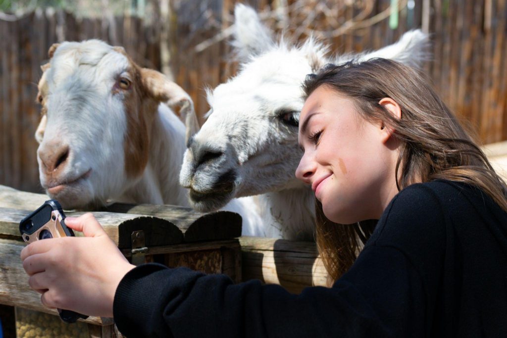 woman and goats