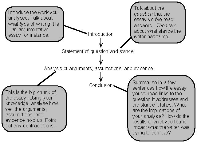 analysis schema